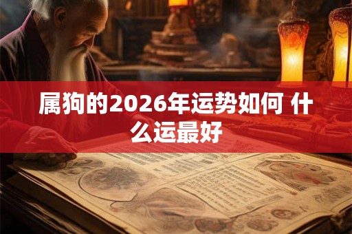 属狗的2026年运势如何 什么运最好
