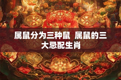 属鼠分为三种鼠  属鼠的三大忌配生肖
