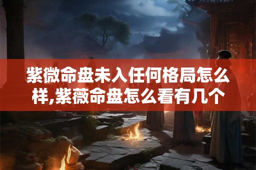 紫微命盘未入任何格局怎么样,紫薇命盘怎么看有几个孩子