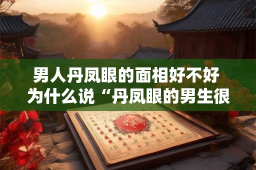 男人丹凤眼的面相好不好 为什么说“丹凤眼的男生很可怕”