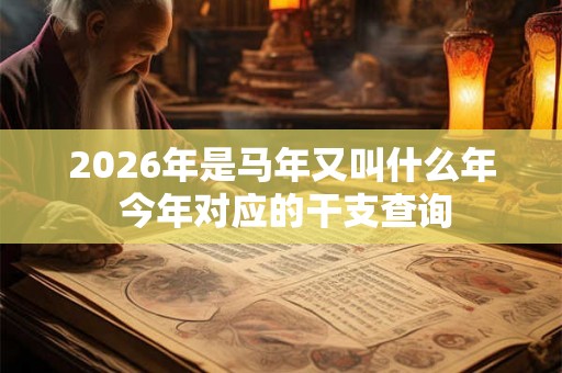 2026年是马年又叫什么年 今年对应的干支查询 2026年是马年又叫什么年 今年对应的干支查询