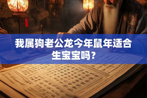 我属狗老公龙今年鼠年适合生宝宝吗？