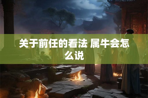 关于前任的看法 属牛会怎么说
