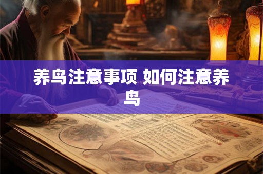 养鸟注意事项 如何注意养鸟