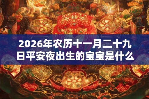 2026年农历十一月二十九日平安夜出生的宝宝是什么星座的？