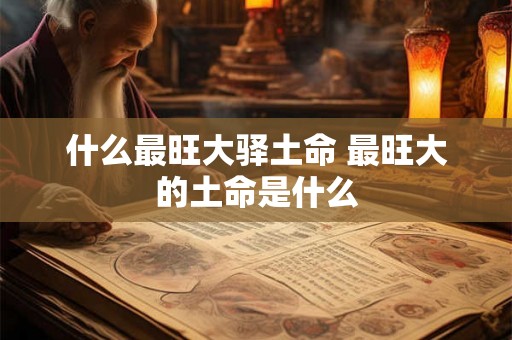 什么最旺大驿土命 最旺大的土命是什么