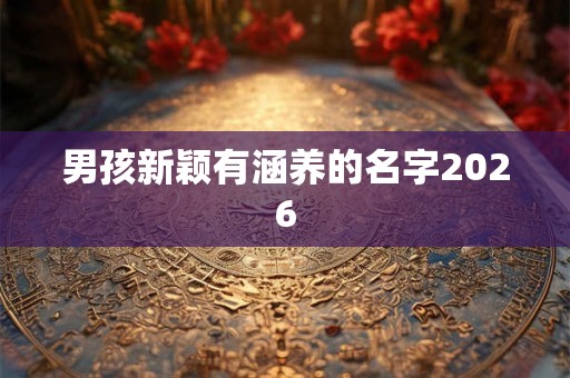男孩新颖有涵养的名字2026