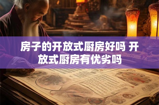 房子的开放式厨房好吗 开放式厨房有优劣吗 房子的开放式厨房好吗 开放式厨房有优劣吗