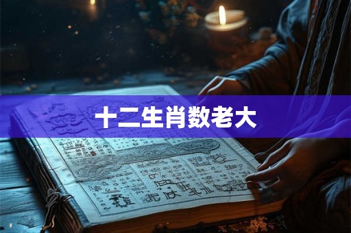 十二生肖数老大