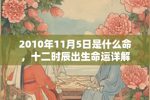 2010年11月5日是什么命，十二时辰出生命运详解
