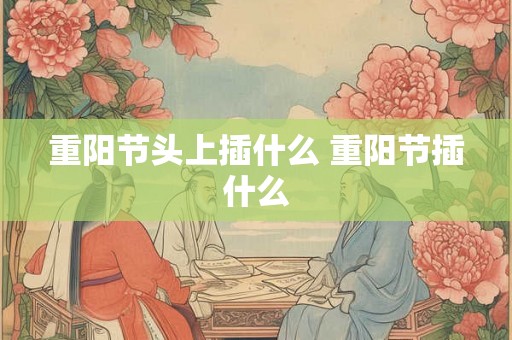 重阳节头上插什么 重阳节插什么