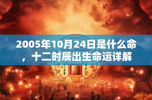2005年10月24日是什么命，十二时辰出生命运详解