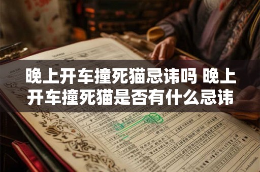 晚上开车撞死猫忌讳吗 晚上开车撞死猫是否有什么忌讳或讲究 晚上开车撞死猫忌讳吗 晚上开车撞死猫是否有什么忌讳或讲究