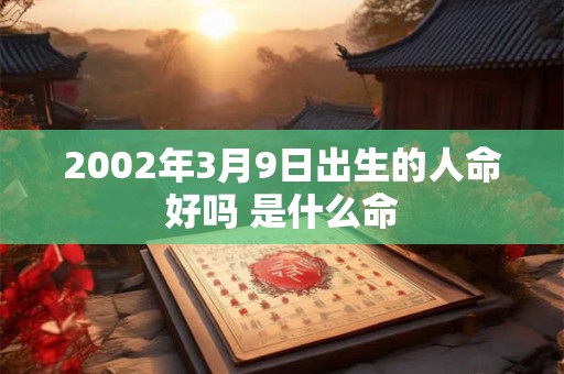 2002年3月9日出生的人命好吗 是什么命