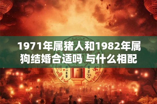 1971年属猪人和1982年属狗结婚合适吗 与什么相配