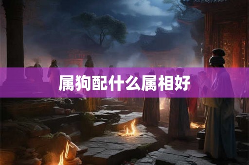 属狗配什么属相好
