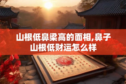 山根低鼻梁高的面相,鼻子山根低财运怎么样