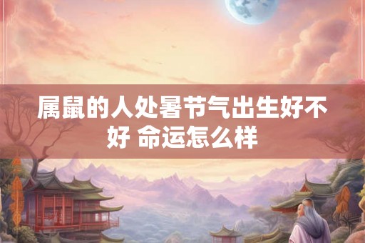 属鼠的人处暑节气出生好不好 命运怎么样
