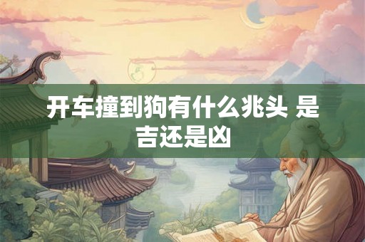 开车撞到狗有什么兆头 是吉还是凶