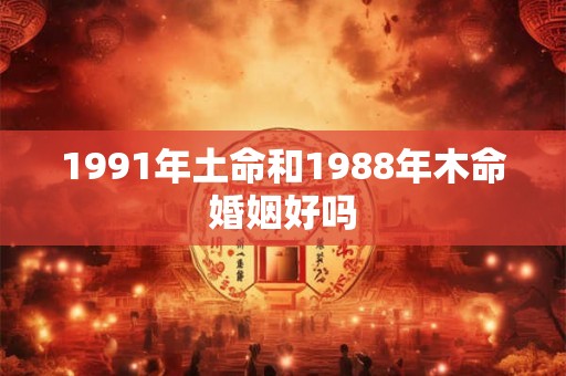 1991年土命和1988年木命婚姻好吗 1991年土命和1988年木命婚姻好吗