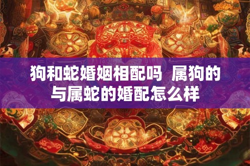 狗和蛇婚姻相配吗  属狗的与属蛇的婚配怎么样