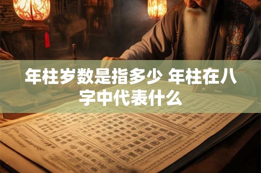 年柱岁数是指多少 年柱在八字中代表什么