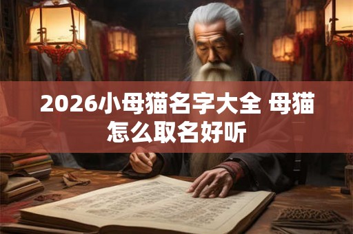 2026小母猫名字大全 母猫怎么取名好听