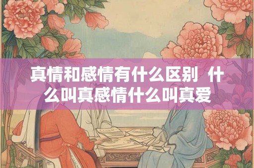 真情和感情有什么区别  什么叫真感情什么叫真爱