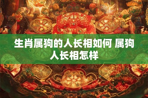生肖属狗的人长相如何 属狗人长相怎样 生肖属狗的人长相如何 属狗人长相怎样
