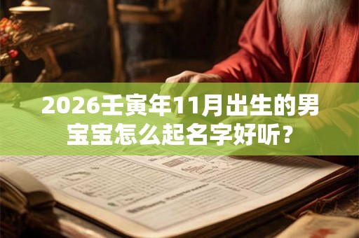 2026壬寅年11月出生的男宝宝怎么起名字好听？
