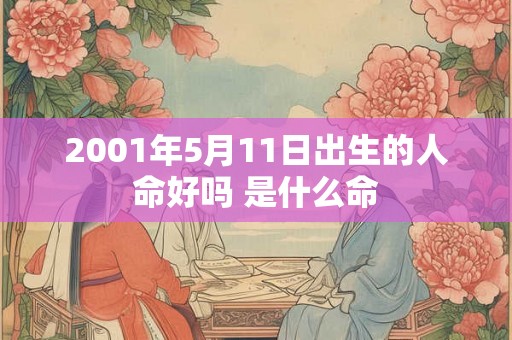 2001年5月11日出生的人命好吗 是什么命