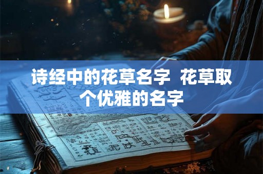诗经中的花草名字  花草取个优雅的名字