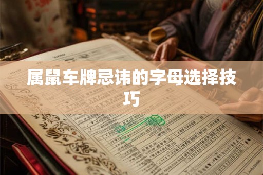 属鼠车牌忌讳的字母选择技巧