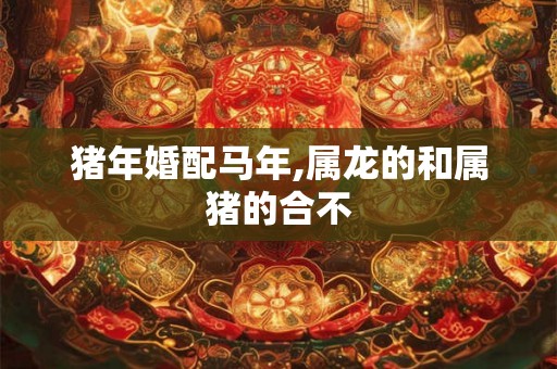 猪年婚配马年,属龙的和属猪的合不