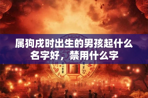 属狗戌时出生的男孩起什么名字好，禁用什么字