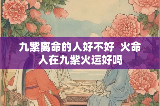 九紫离命的人好不好  火命人在九紫火运好吗