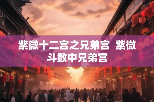紫微十二宫之兄弟宫  紫微斗数中兄弟宫