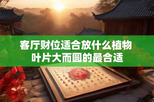 客厅财位适合放什么植物 叶片大而圆的最合适 客厅财位适合放什么植物 叶片大而圆的最合适
