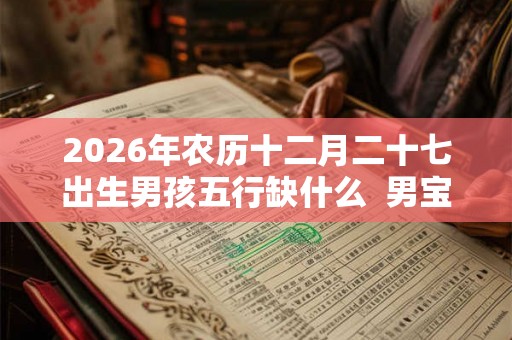 2026年农历十二月二十七出生男孩五行缺什么  男宝宝名字大全