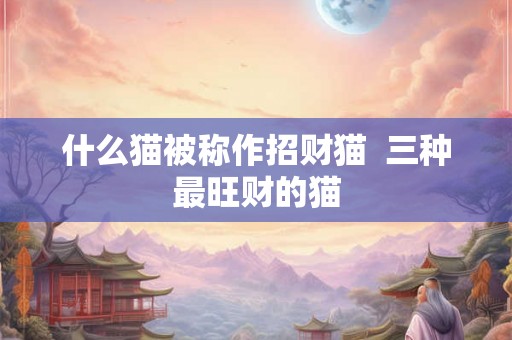 什么猫被称作招财猫  三种最旺财的猫