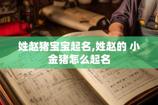 姓赵猪宝宝起名,姓赵的 小金猪怎么起名 姓赵猪宝宝起名,姓赵的 小金猪怎么起名