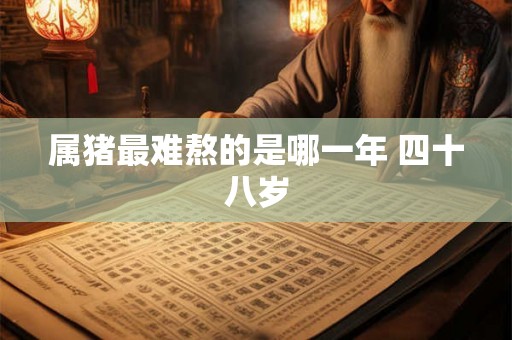 属猪最难熬的是哪一年 四十八岁 属猪最难熬的是哪一年 四十八岁