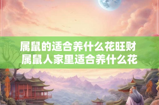 属鼠的适合养什么花旺财 属鼠人家里适合养什么花