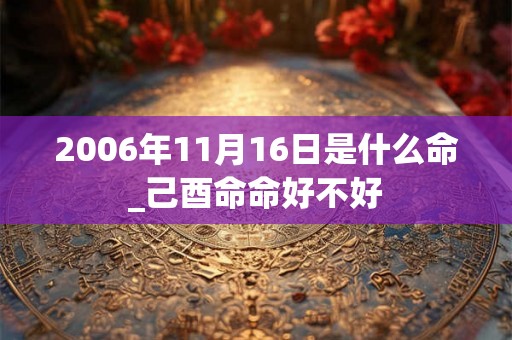 2006年11月16日是什么命_己酉命命好不好