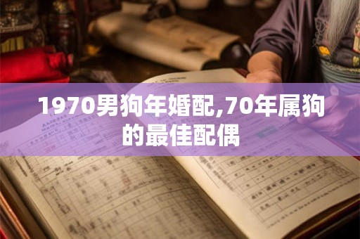 1970男狗年婚配,70年属狗的最佳配偶 1970男狗年婚配,70年属狗的最佳配偶