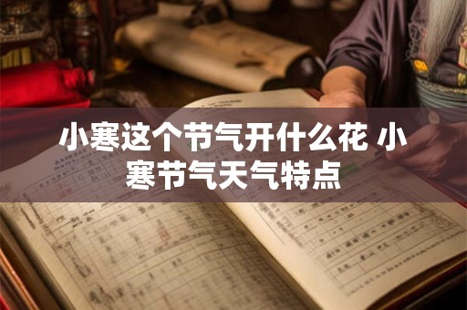 小寒这个节气开什么花 小寒节气天气特点 小寒这个节气开什么花 小寒节气天气特点