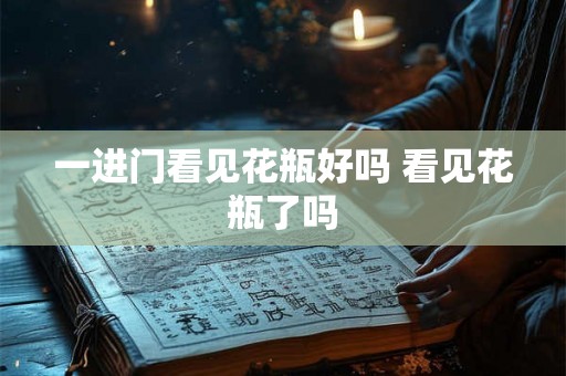 一进门看见花瓶好吗 看见花瓶了吗