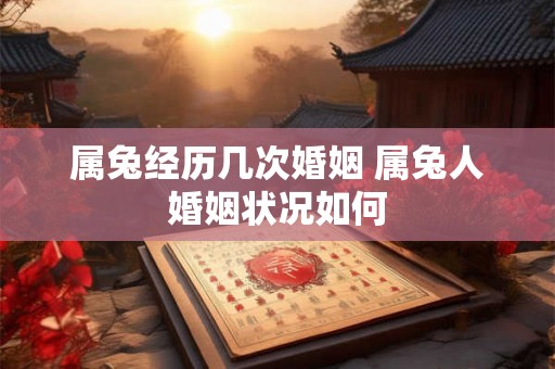 属兔经历几次婚姻 属兔人婚姻状况如何 属兔经历几次婚姻 属兔人婚姻状况如何