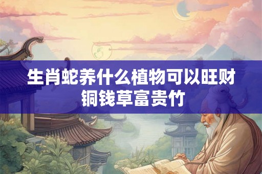 生肖蛇养什么植物可以旺财 铜钱草富贵竹