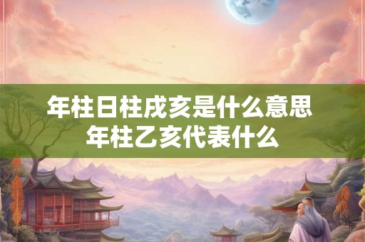 年柱日柱戌亥是什么意思 年柱乙亥代表什么